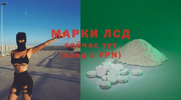 mdpv Новозыбков