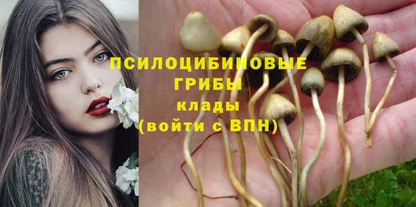 твердый Баксан
